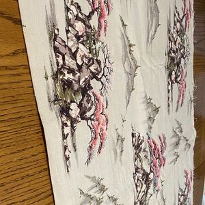 Scenic Print Fabric